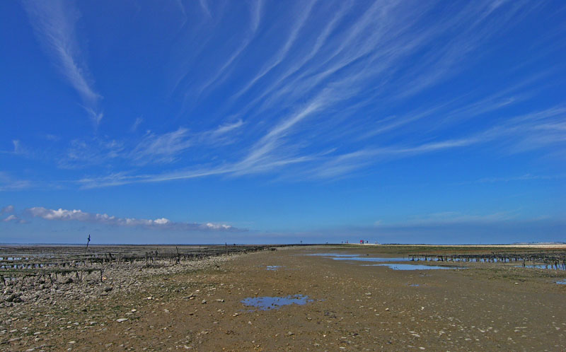 Plateau des Palles à l'extrémité nord de l'île Madame. Une petite île des charentes-maritimes relié au continent par une chaussée submersible.