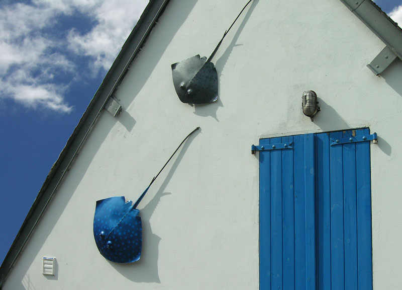 Une jolie maison dans les ruelles de Saint-Valery s/Somme. 