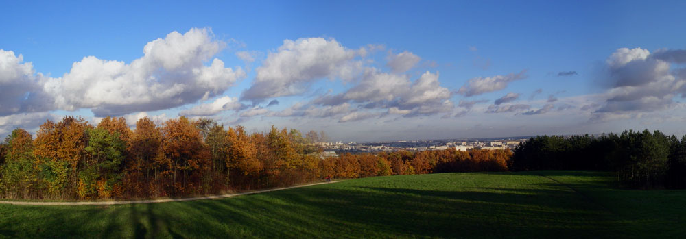 La banlieue parisienne depuis le bois de Verrières.